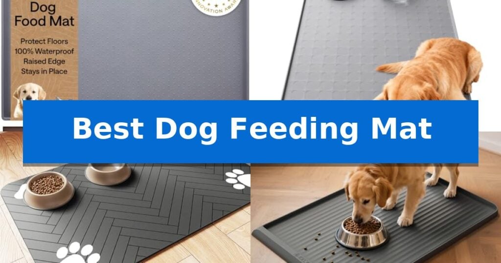 Best Dog Feeding Mat