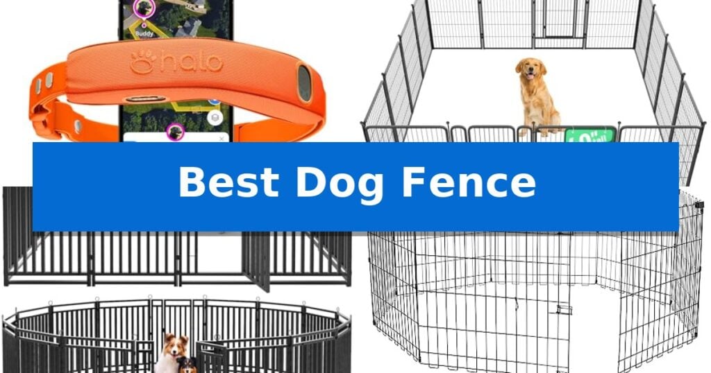 Best Dog Fence