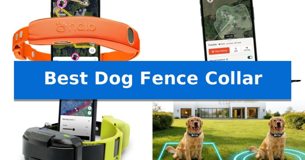 Best Dog Fence Collar