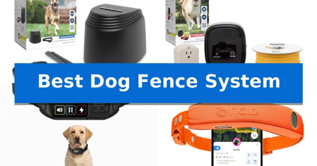 Best Dog Fence System