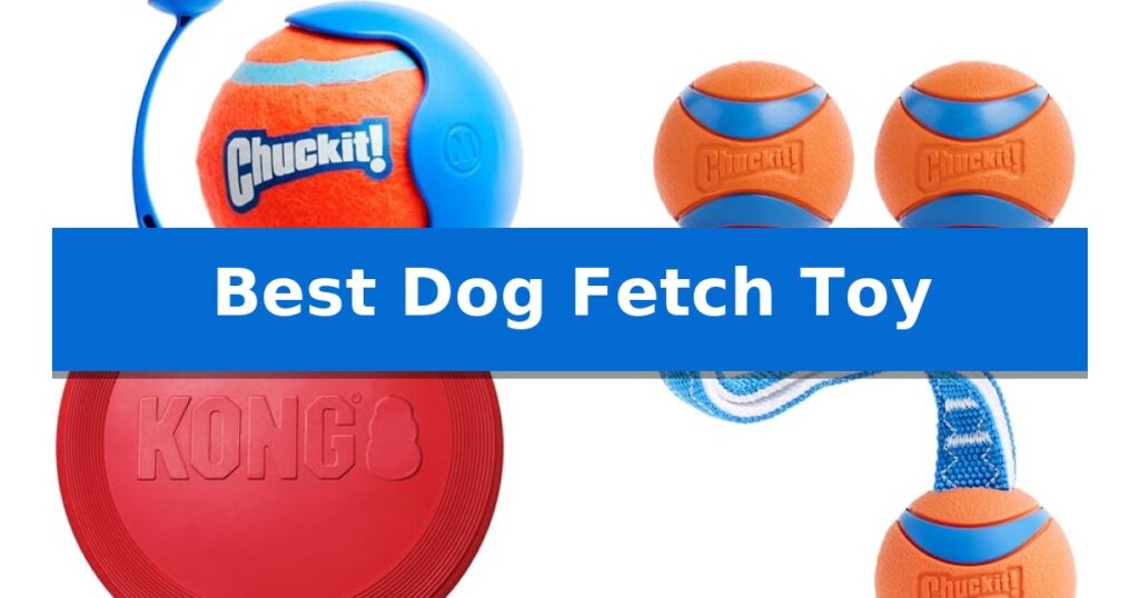 Best Dog Fetch Toy