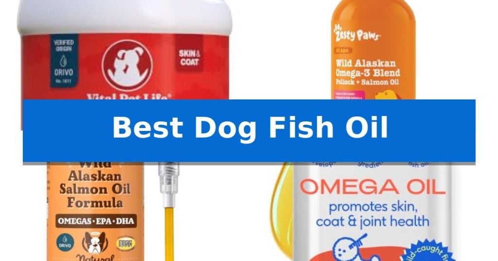Best Dog Fish Oil
