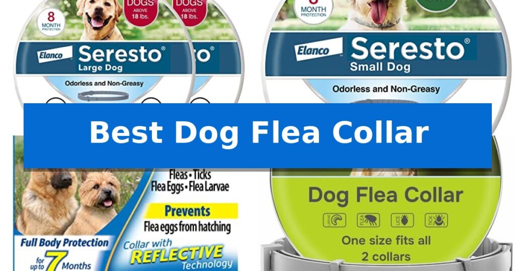Best Dog Flea Collar