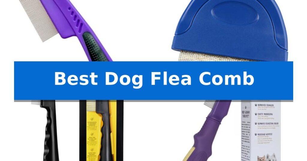 Best Dog Flea Comb