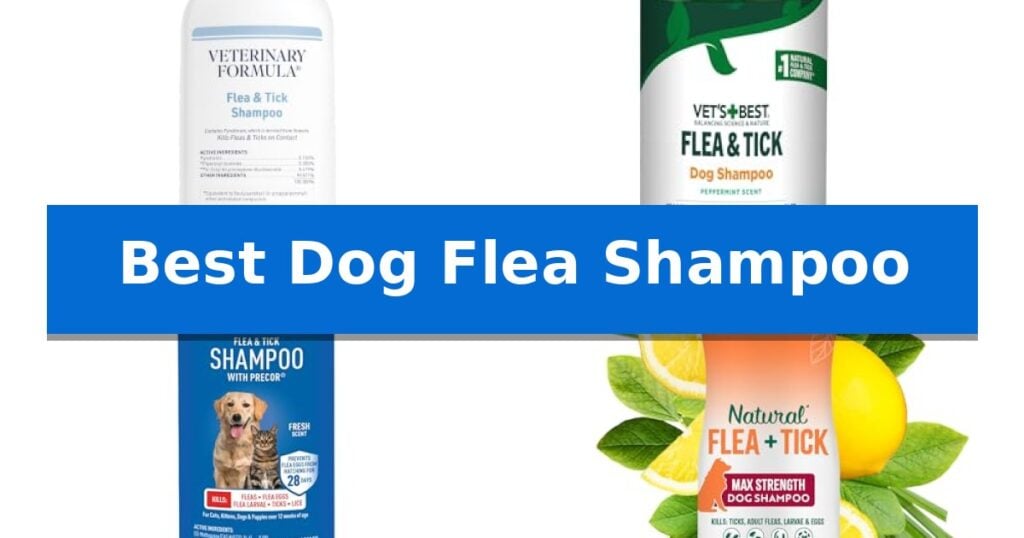 Best Dog Flea Shampoo