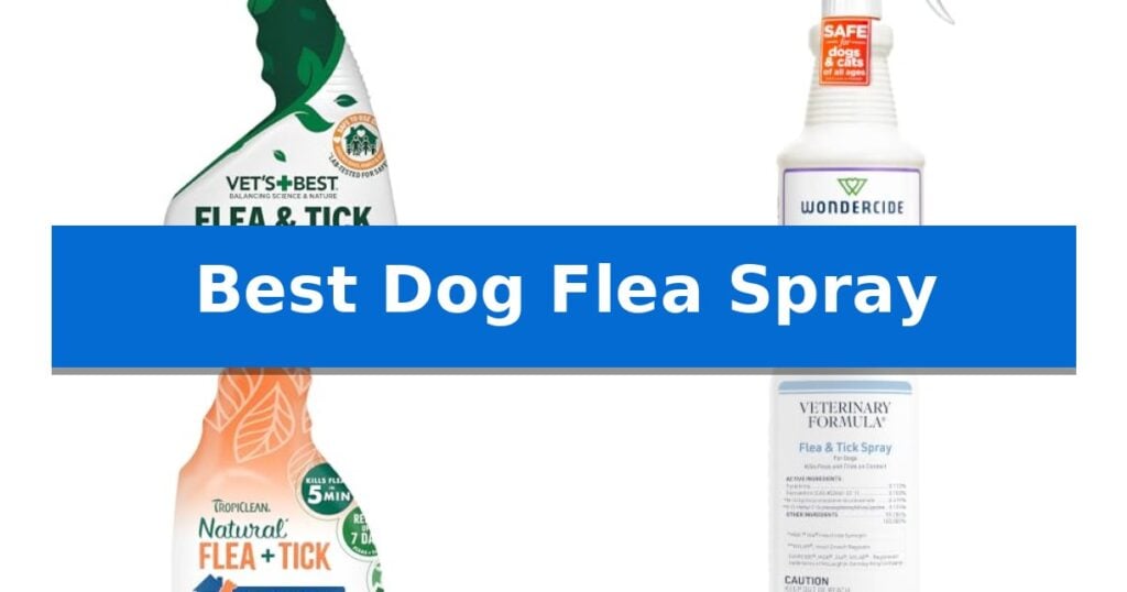 Best Dog Flea Spray