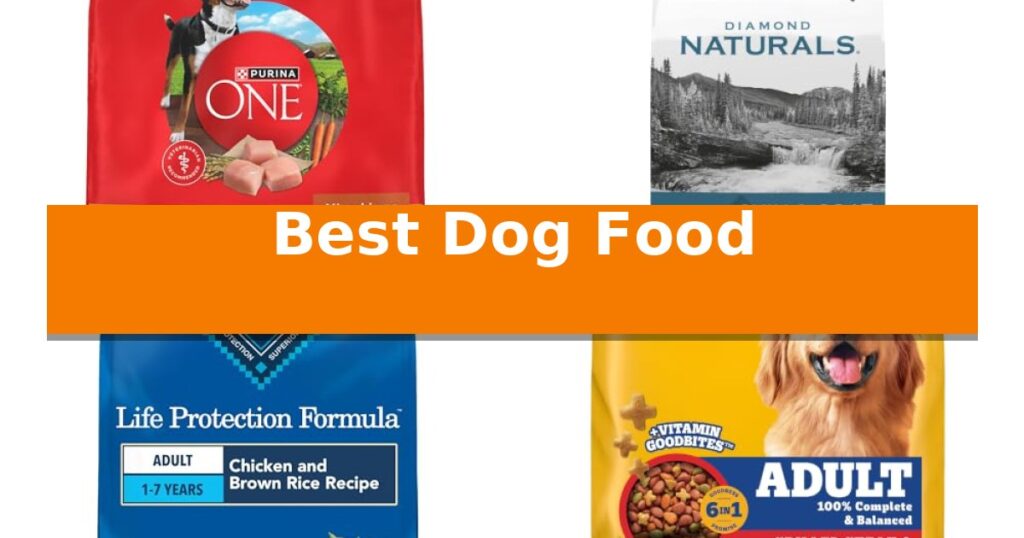 Best Dog Food