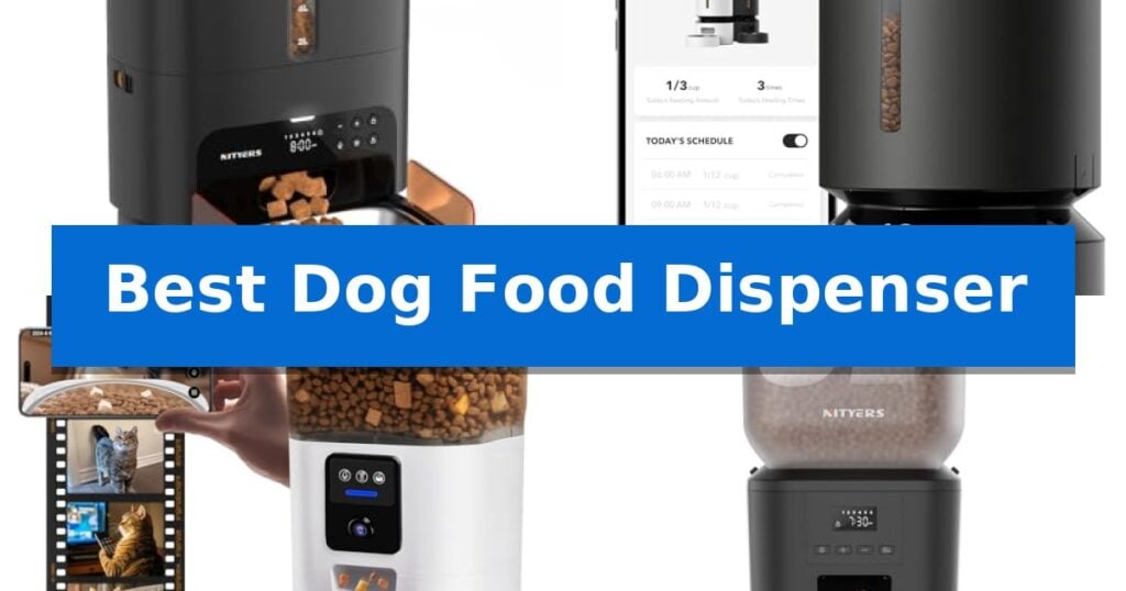 Best Dog Food Dispenser