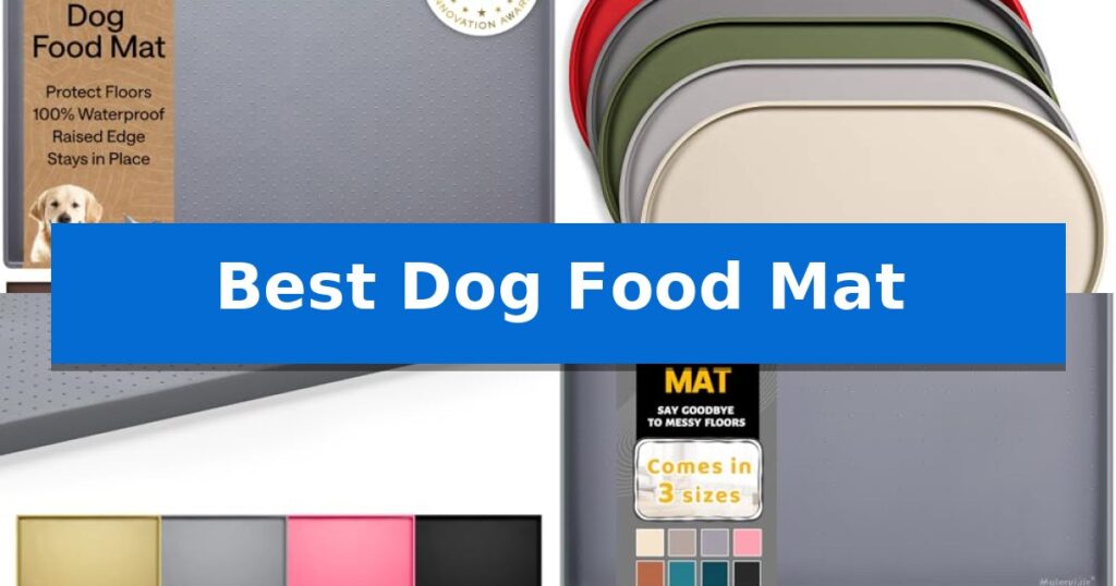 Best Dog Food Mat