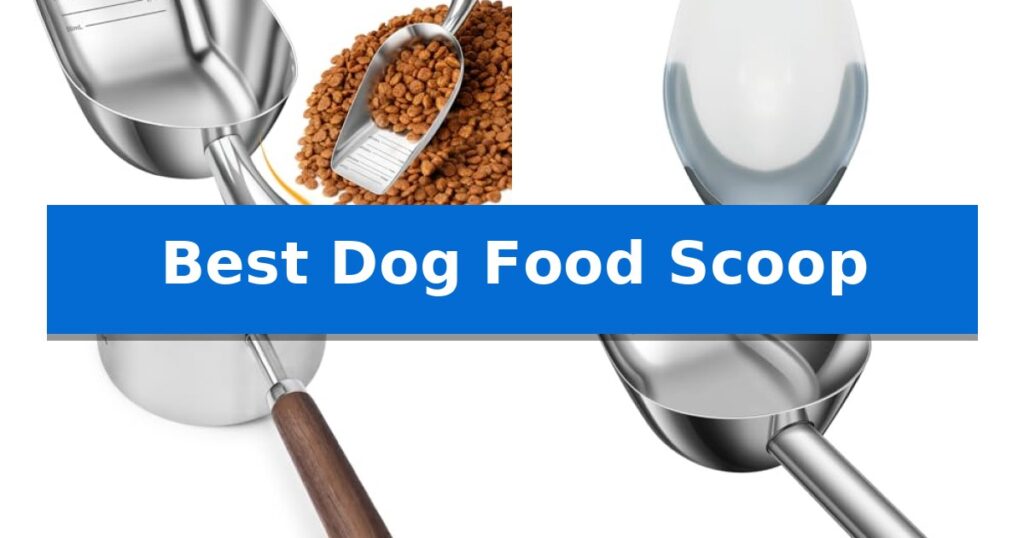 Best Dog Food Scoop