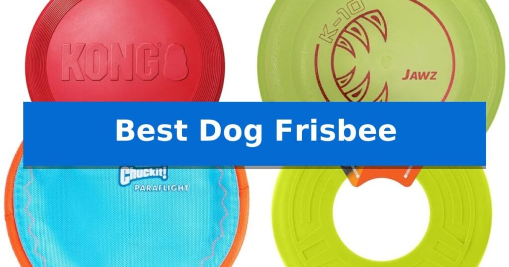 Best Dog Frisbee