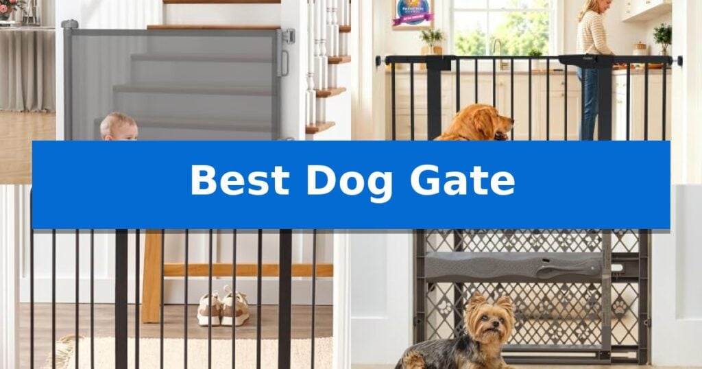 Best Dog Gate