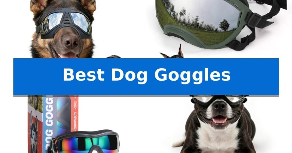 Best Dog Goggles