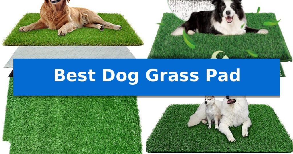 Best Dog Grass Pad