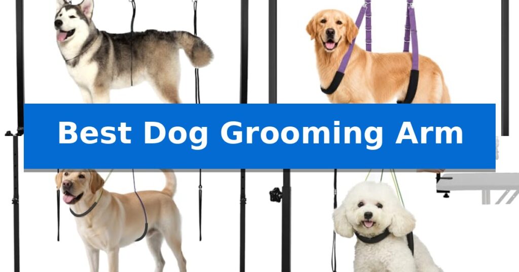 Best Dog Grooming Arm