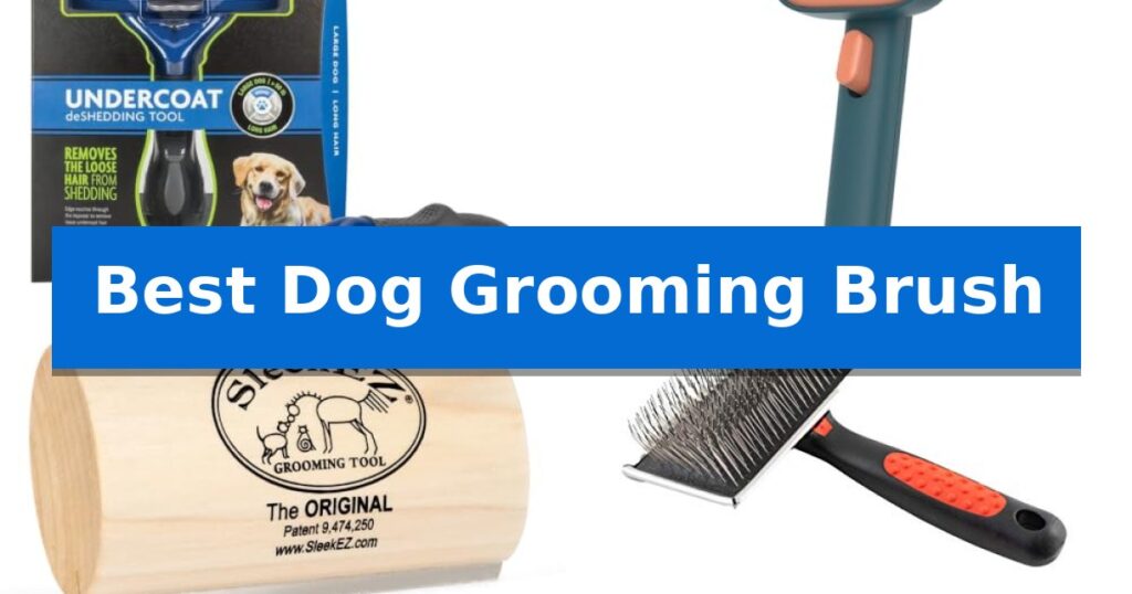 Best Dog Grooming Brush