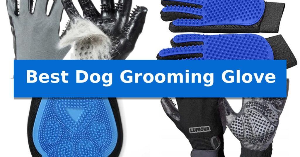 Best Dog Grooming Glove