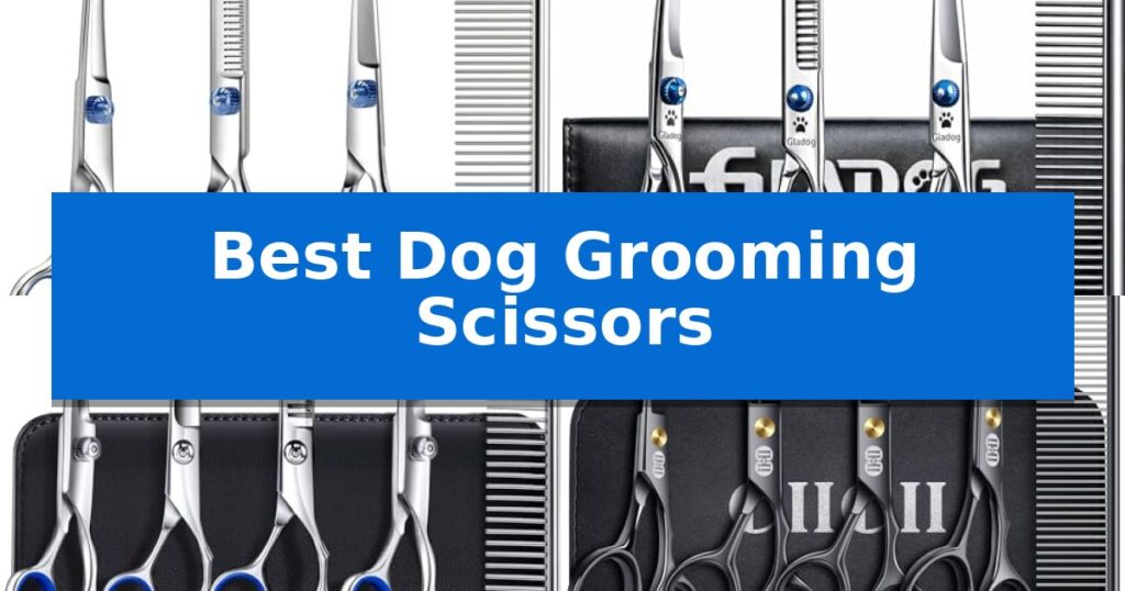 Best Dog Grooming Scissors