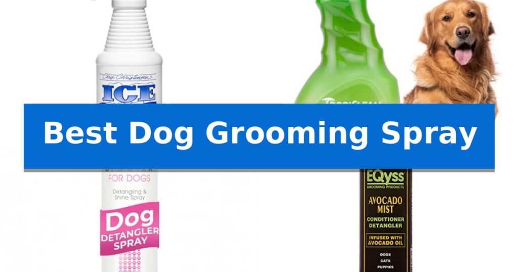Best Dog Grooming Spray