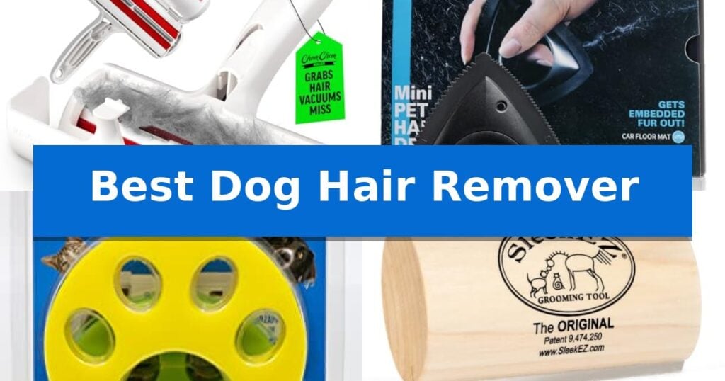 Best Dog Hair Remover