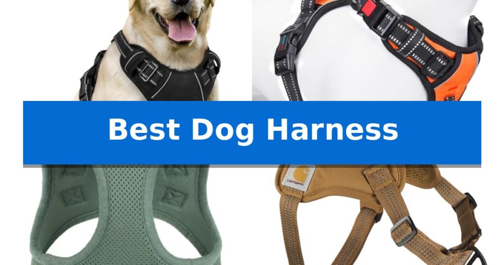 Best Dog Harness