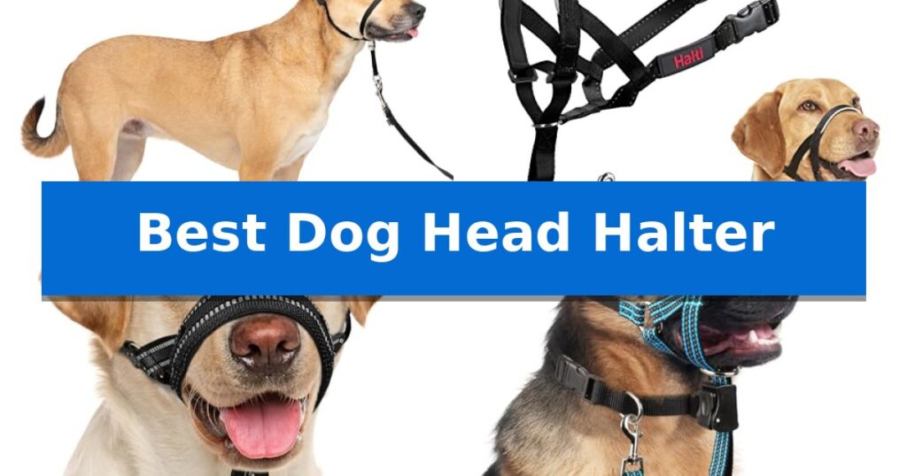 Best Dog Head Halter