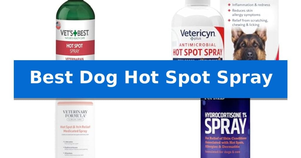 Best Dog Hot Spot Spray