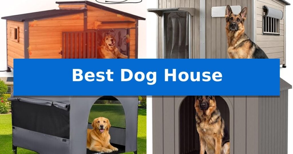 Best Dog House