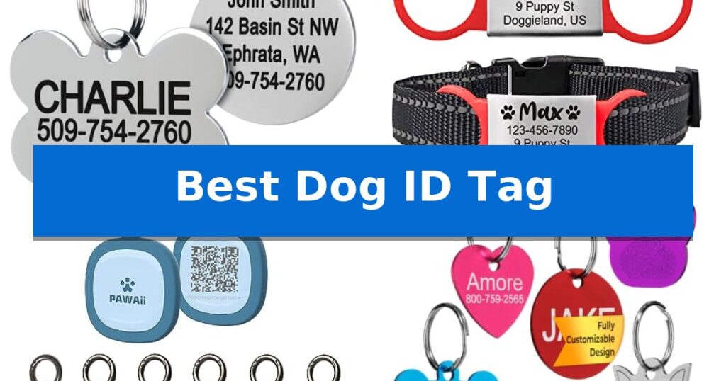 Best Dog ID Tag