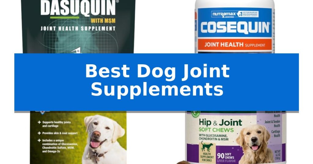 Best Dog Joint Supplements