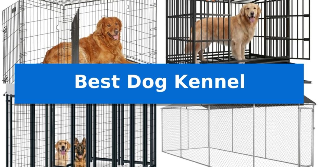 Best Dog Kennel