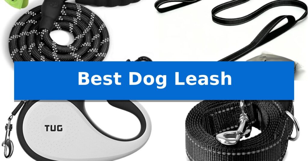 Best Dog Leash