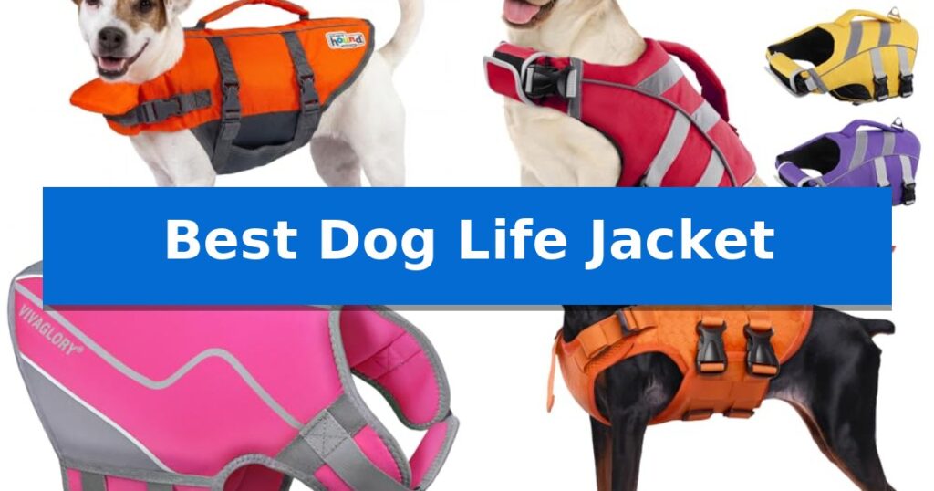 Best Dog Life Jacket