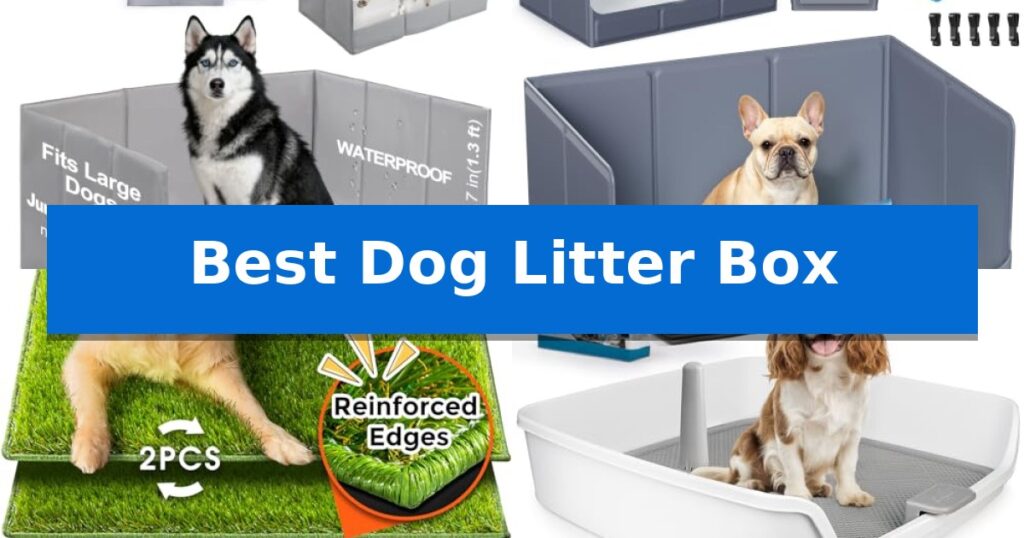 Best Dog Litter Box