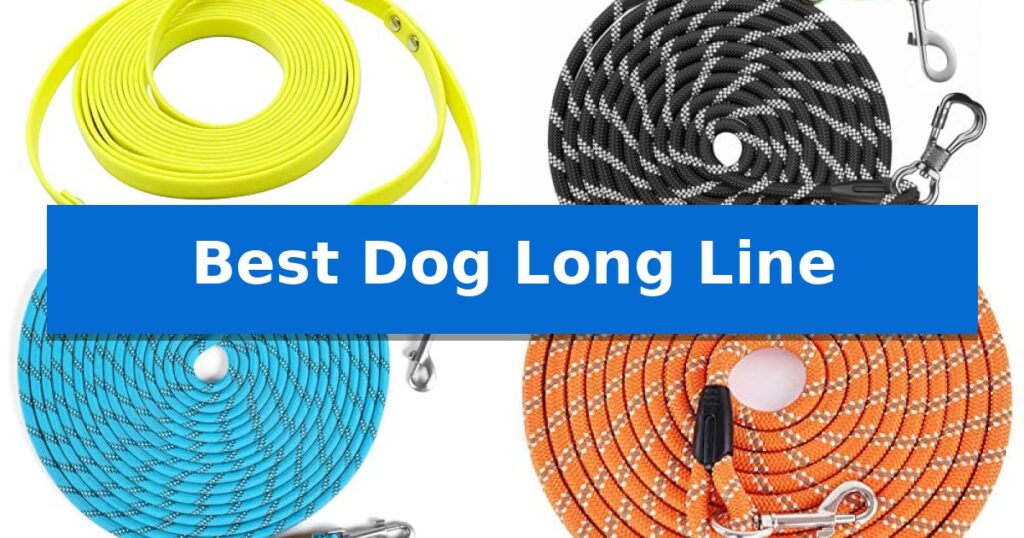 Best Dog Long Line