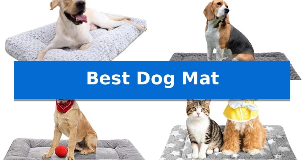 Best Dog Mat