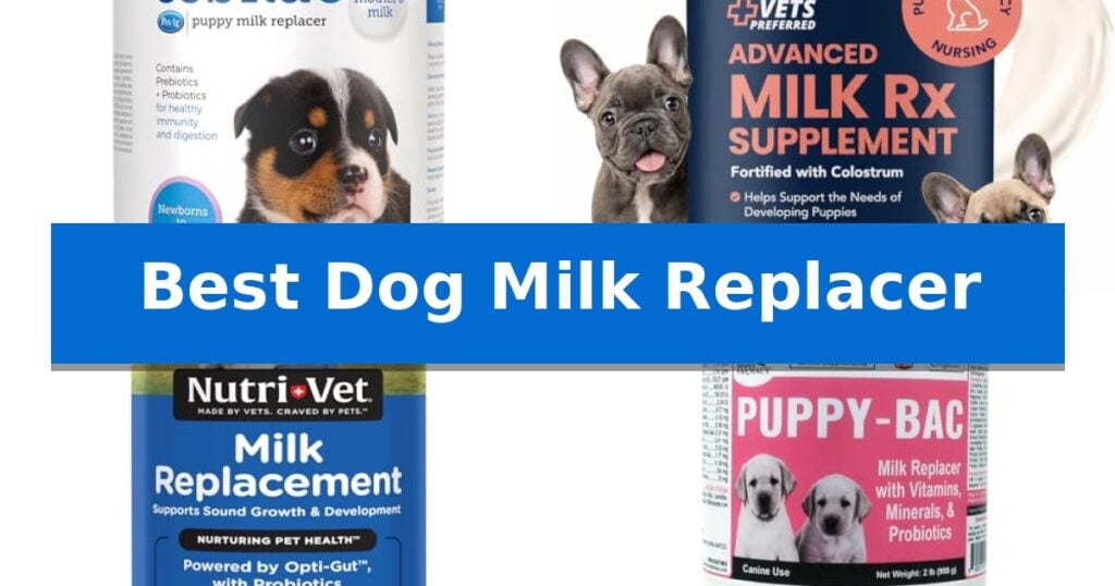 Best Dog Milk Replacer