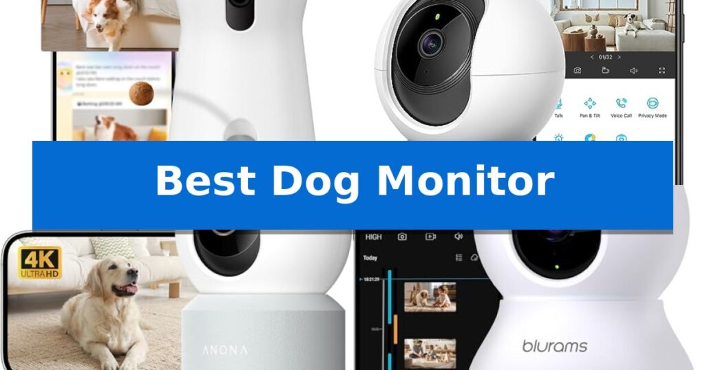 Best Dog Monitor