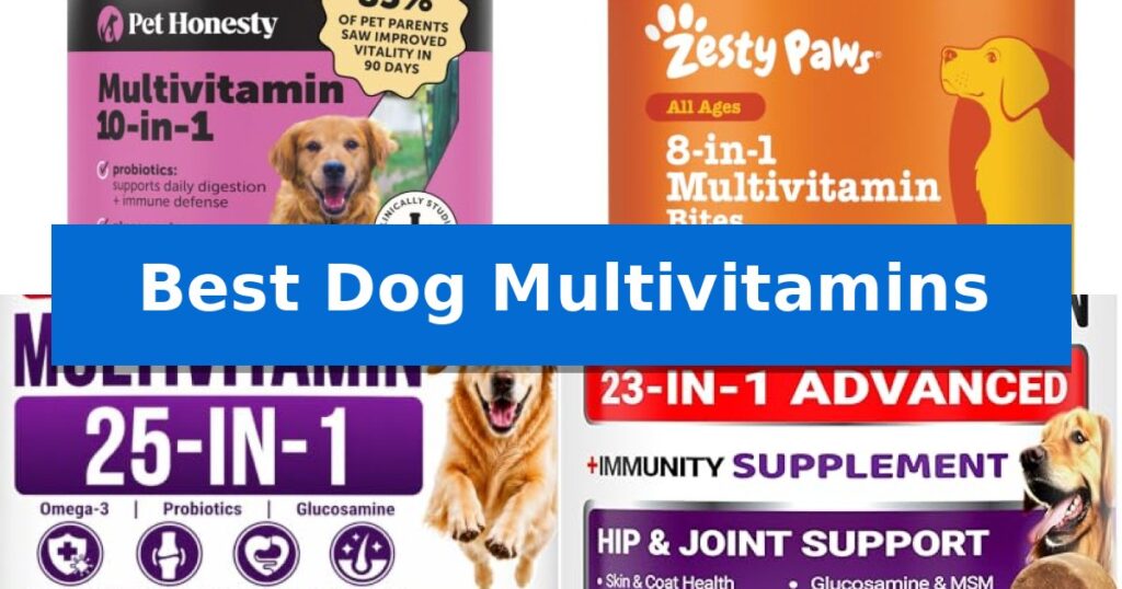 Best Dog Multivitamins