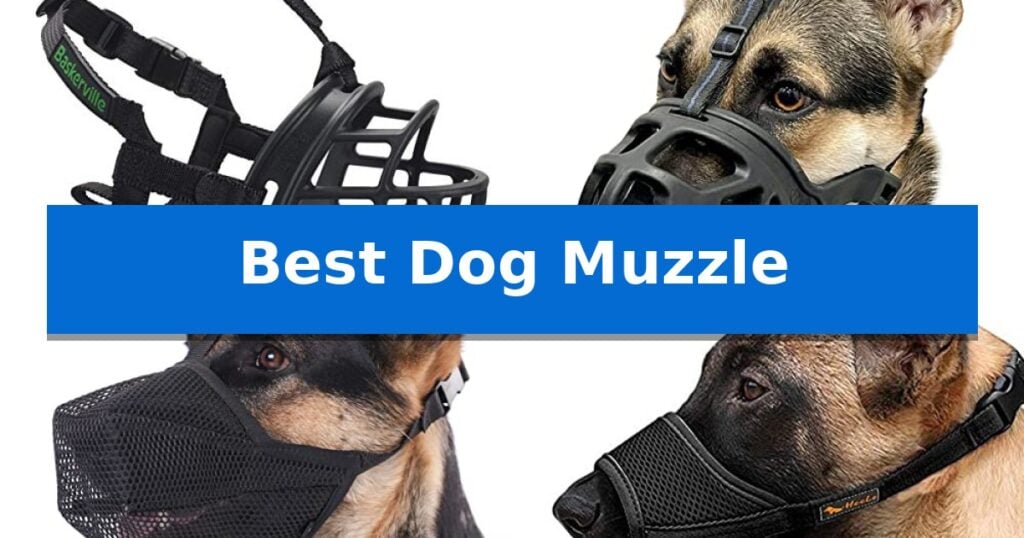 Best Dog Muzzle