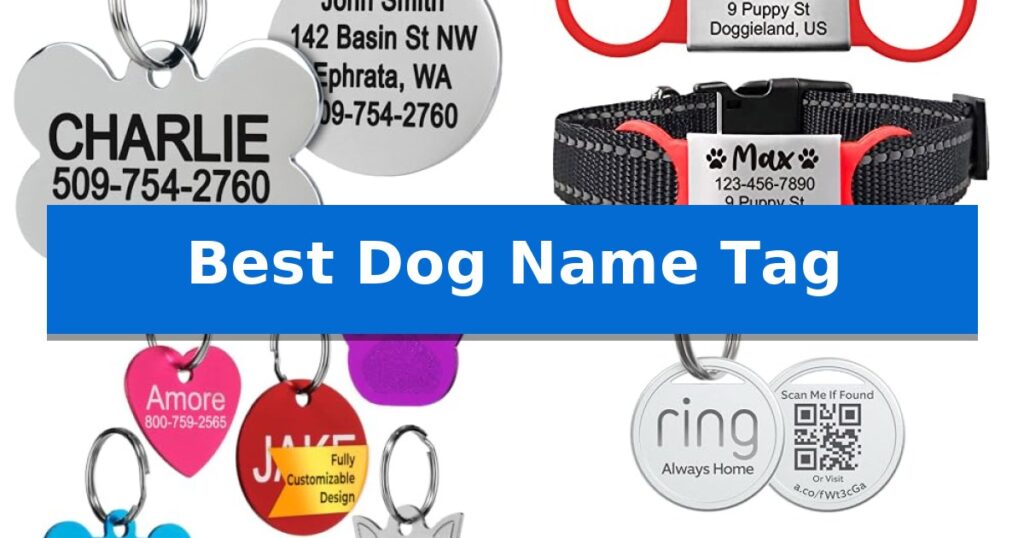 Best Dog Name Tag