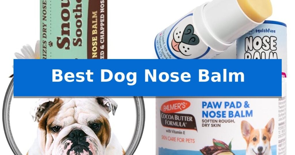 Best Dog Nose Balm