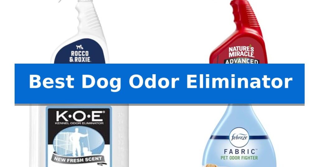 Best Dog Odor Eliminator