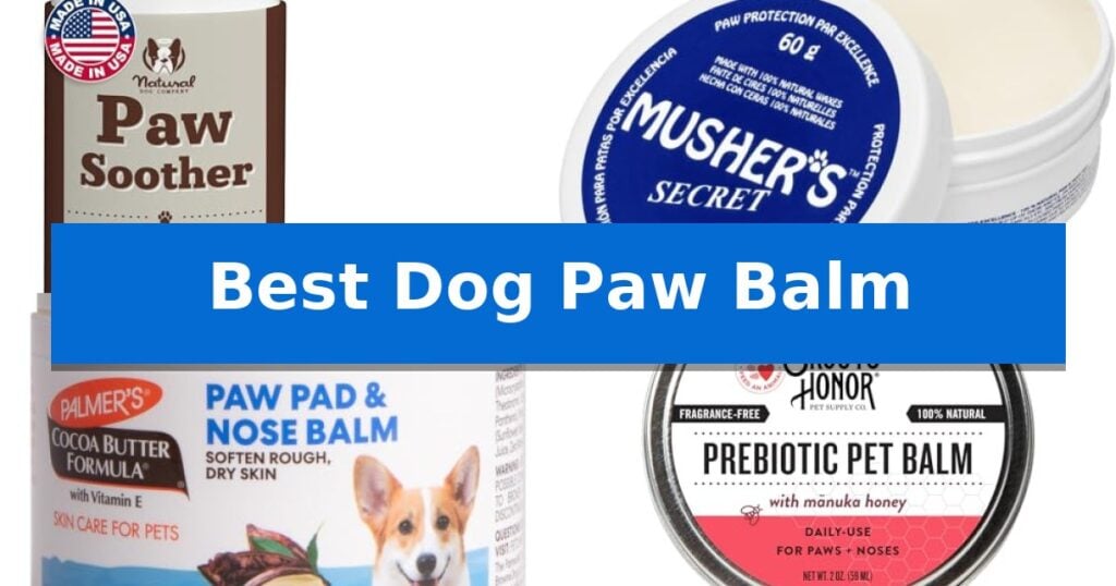 Best Dog Paw Balm