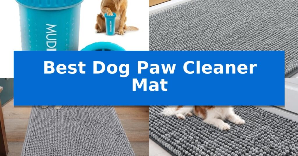 Best Dog Paw Cleaner Mat