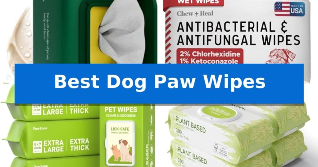 Best Dog Paw Wipes