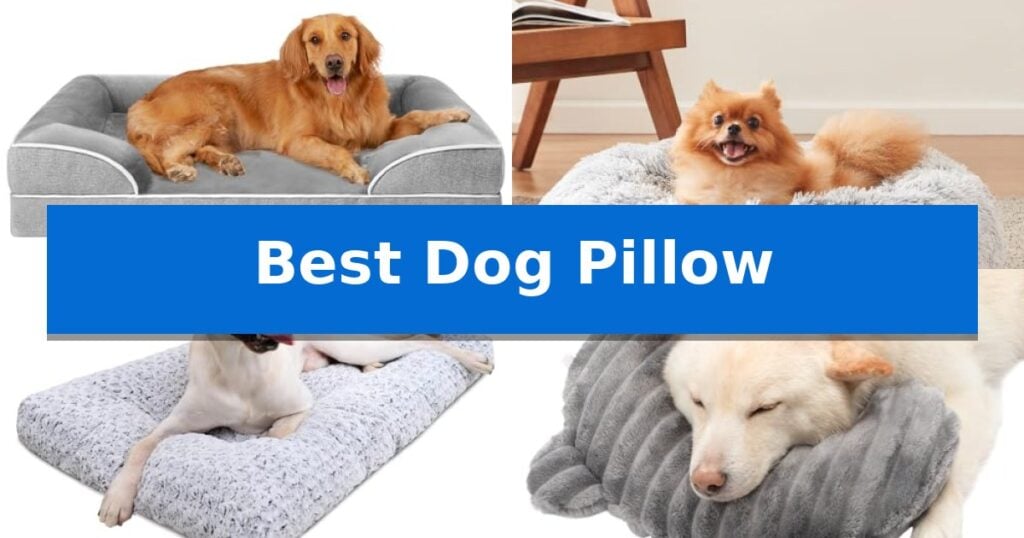 Best Dog Pillow