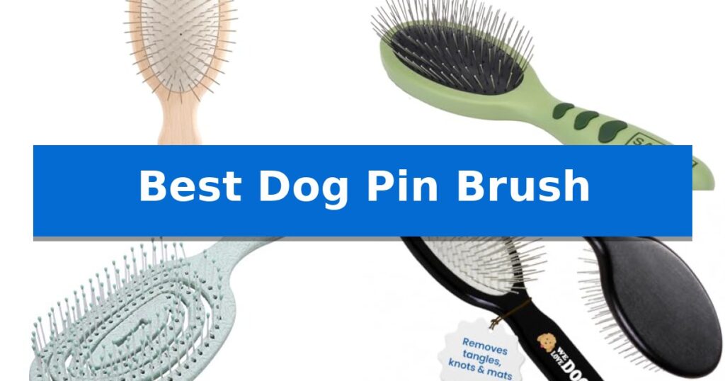 Best Dog Pin Brush