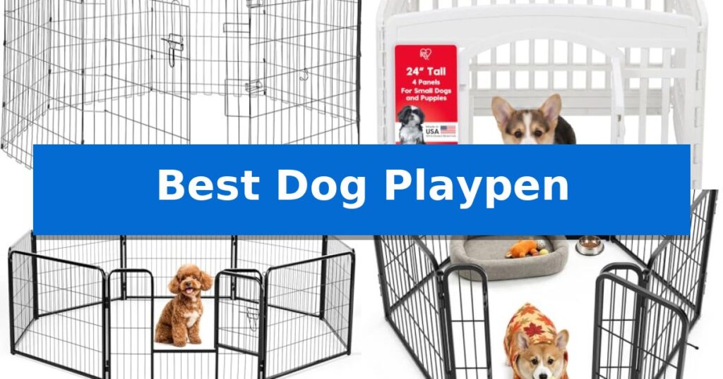 Best Dog Playpen
