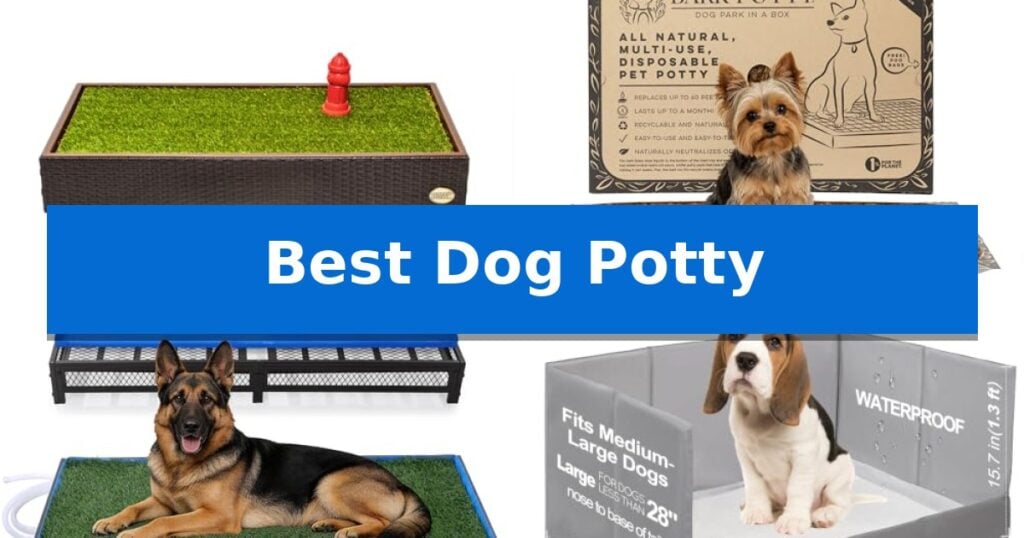 Best Dog Potty